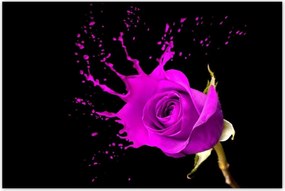 Poszterek 120x80 Lila rózsa hatású