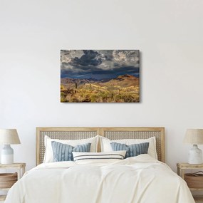 Kép - kaktuszok a természetben (90x60 cm)