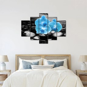 Kép - Kék orchidea (150x105 cm)