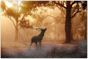 Poszterek 120x80 Szarvas az erdőben