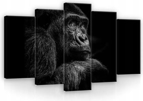 Vászonkép 100x60 Gorilla Fekete-fehér állat portré polip vászonkép