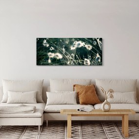Kép - Pókháló (120x50 cm)