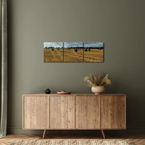 Betakarított gabona mező képe (órával) (90x30 cm)