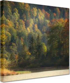 Vászonkép 60x60 Erdei táj Kilátás