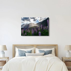 Kép - Csillagfürt táj (90x60 cm)