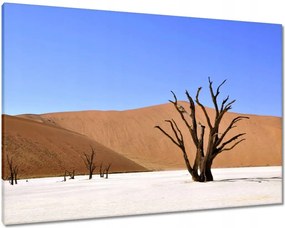 Vászonkép 100x70 Fa a sivatagban