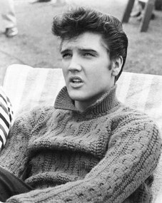 Fotográfia Elvis Presley - Jailhouse Rock