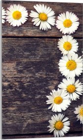 Üveg Vágódeszka 30x52 Fa Konyha