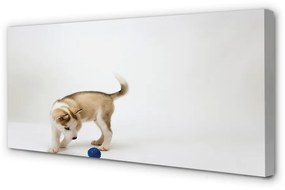 Canvas képek Játszott a kutyával 120x60 cm