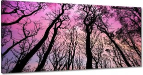 Festmények 120x60 Tájkép Látvány