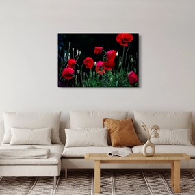 Kép - Pipacsok tánca (90x60 cm)