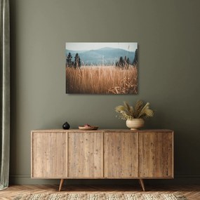 Kép - réti növényzet részlete (üvegen) (70x50 cm)