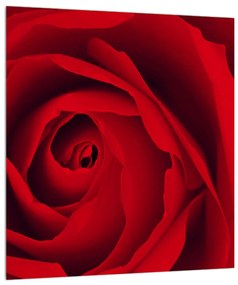 Rózsa képe (30x30 cm)