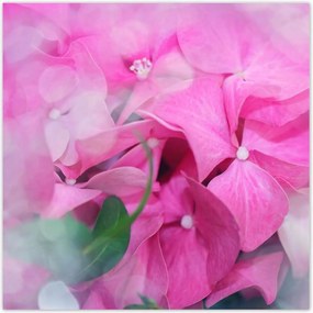 Poszterek 100x100 NĆnap AjĂĄndĂ©k Love