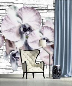Fotótapéta Orchideák vinil elegancia virágok a hálószobába 184x254 +ragasztó