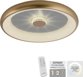 Paul Neuhaus glamour modern mennyezeti lámpa vertigo matt sárgaréz pln14386-60