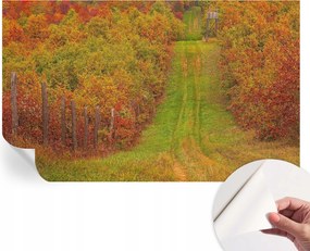Modern öntapadós fotótapéta Mosható Őszi színek 416x254 cm