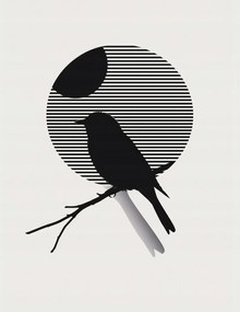 Poszter 50x65cm Kontraszt Karcsúság