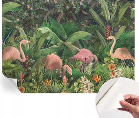 Fotótapéta Öntapadós Dekoratív tapéta Rózsaszín flamingók 208x146 cm