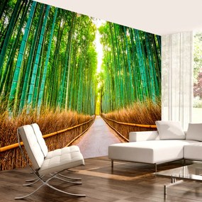 Öntapadó fotótapéta - Bamboo Forest