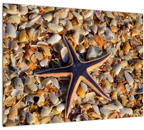 Egy tengeri csillag képe (üvegen) (70x50 cm)