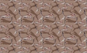 Fotótapéta Gepárd Safari állat print dinamika árnyékok 368x254 +ragasztó