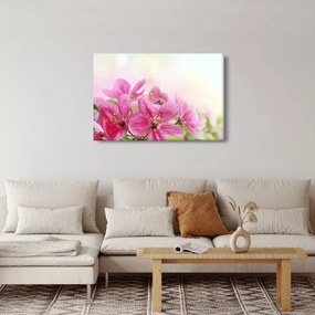 Kép - Rózsaszín virágok (90x60 cm)