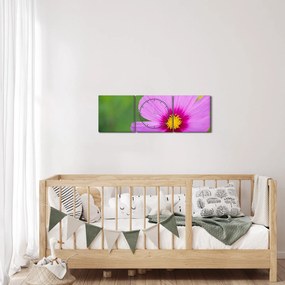 Kép - réti virág (órával) (90x30 cm)