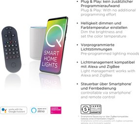 Paul Neuhaus modern függeszték q-malina acél pln2339-55