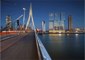 Kép - Alkonyat Rotterdamban, Hollandia (üvegen) (70x50 cm)