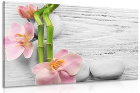 Kép bambusz, orchidea, fehér kő összhatása