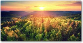 Fotó üvegkép Erdő naplemente 140x70