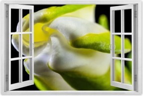 Poszterek 90x60 Nőnap Ajándék Love