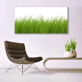 Fali üvegkép Grass Nature Plant 100x50 cm