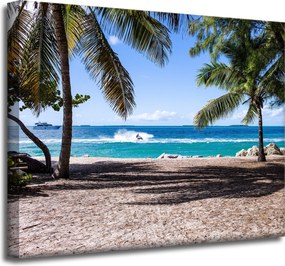 Vászonkép Természet Óceán pálmafák tengerpart 50x40 cm