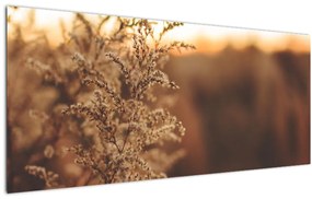 Virágzó fű képe (120x50 cm)