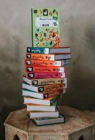 Janod - MAGNETIBOOK interaktív mágneses járműkészlet