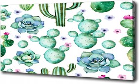 Canvas falikép Kaktuszok 120x60 cm