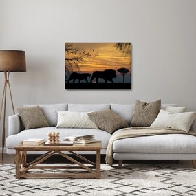 Safari képe (70x50 cm)
