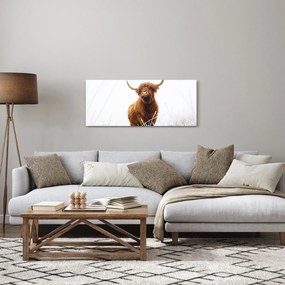 Kép - Skót tehén (120x50 cm)