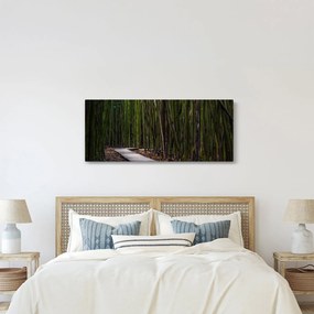 Kép - A bambuszok között (120x50 cm)