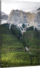 Vászonkép Természet Hegyi zátony erdő 70x120