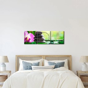 Kép a masszázs kövek és orchideák a vízen (órával) (90x30 cm)