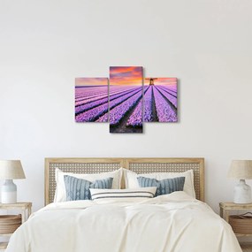 Kép - virágfarm (90x60 cm)