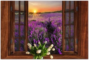 Poszterek 120x80 Kilátás az ablakból a levendulára