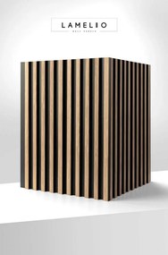 LAMELIO ASTI Aranytölgy lamella falpanel 270 × 12,2 cm