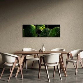 Kép - Zöld kígyó (órával) (90x30 cm)