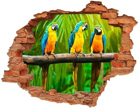 Lyuk 3d fali matrica Papagájok, elágazik nd-c-42532067