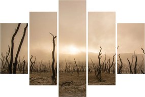 Kép - Csupasz fák (150x105 cm)