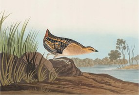 Fotótapéta Flizelin Dekoratív Hálószoba Természetes jelenet 152x104